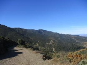 photo coins arrondis